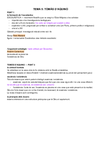 tema-5tomas-daquino.pdf