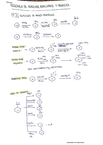 resumen-reactivos-sintesis.pdf