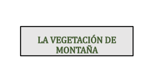 LA-VEGETACION-DE-MONTANA.pdf