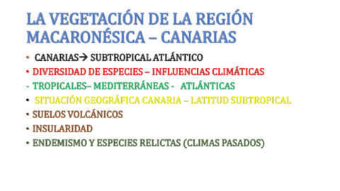 LA-VEGETACION-DE-LA-REGION-MACARONESICA-CANARIAS.pdf
