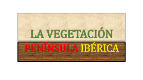 LA-VEGETACION-PENINSULA-IBERICA.pdf
