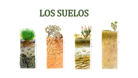 LOS-SUELOS-II.pdf
