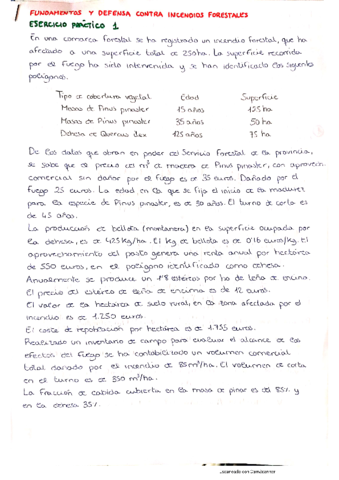 Ejercicio-practico-1.pdf