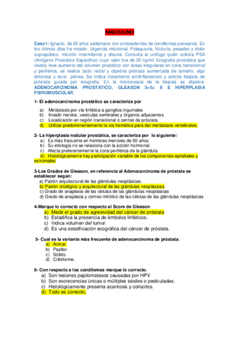 PREGUNTAS-PARCIAL-3-ANATO-FINAL-1.pdf