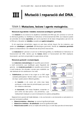 Bloc 2 - Replicació del DNA_3.pdf
