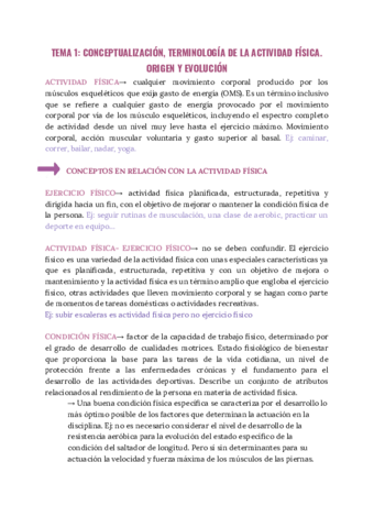 tema-1-7-corregido.pdf