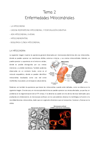 Tema-2.pdf