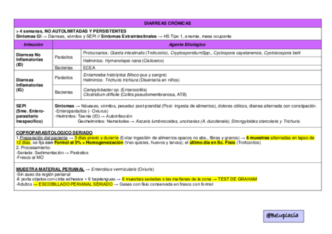 S10-T13-DIARREAS-CRONICAS.pdf