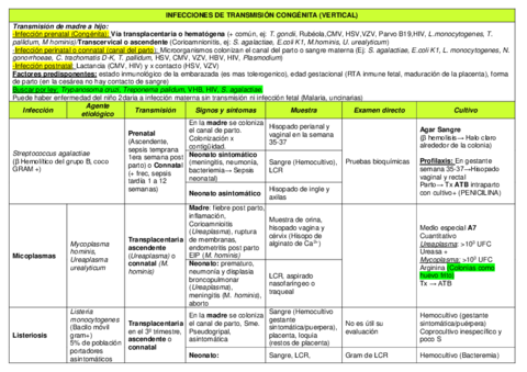 S12-T15-T16-Infecciones-de-transmision-congenita-VERTICAL.pdf