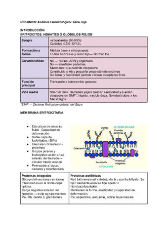 RESUMEN-Analisis-Hematologico-serie-roja.pdf