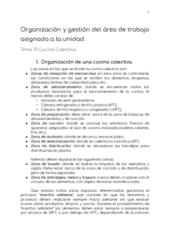 OGAT-Resumen-Tema-13.pdf