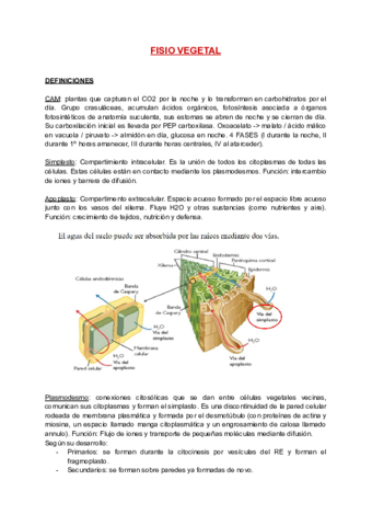 DEFINICIONES + EXÁMENES RESUELTOS.pdf