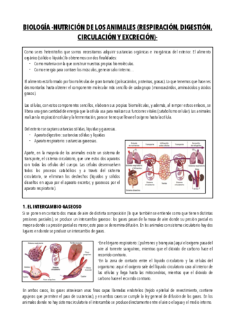 Biologia-1oBACH-Nutricion-Animal-.pdf