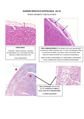 RECOPILATORIO-PRACTICO-TODO-UNIDO.pdf