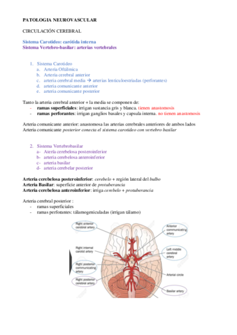 Neurology-Lesson-11-notes.pdf