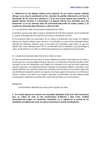 PREGUNTAS.pdf