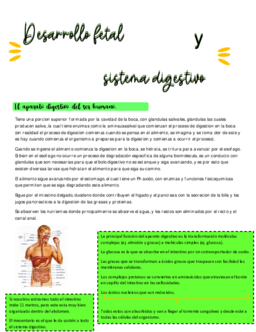 Nuevo-Documento-de-Microsoft-Word.pdf