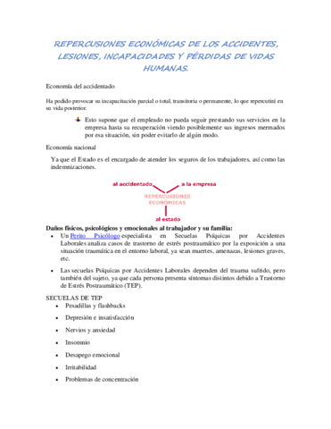 REPERCUSIONES-ECONOMICAS-DE-LOS-ACCIDENTES.pdf