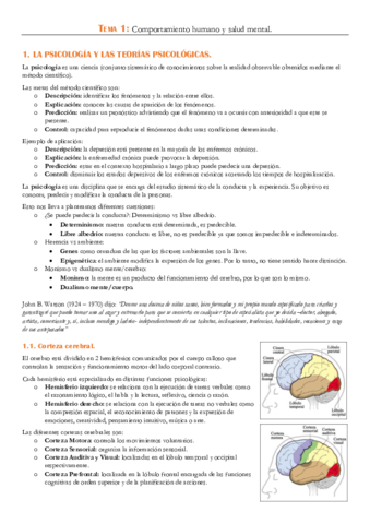 Tema-1.pdf