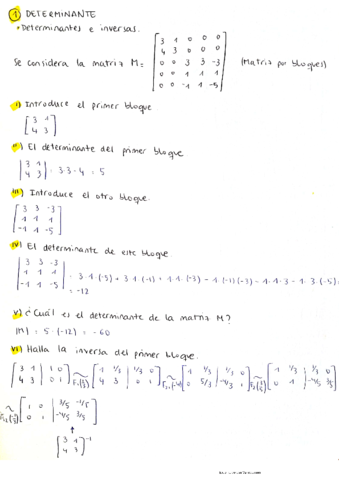 EXAMEN-TIPO-FINAL-ALGEBRA-LINEAL.pdf