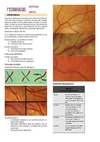 Retinopatia-hipertensiva-y-diabetica.pdf