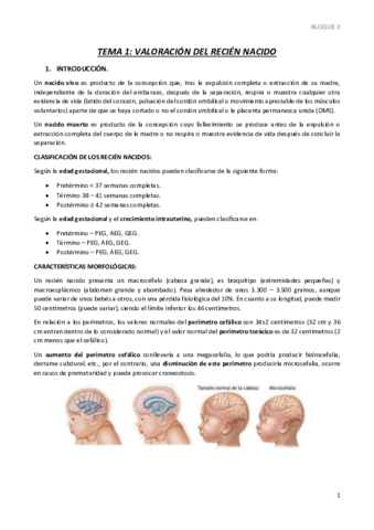 TEMA-1.pdf