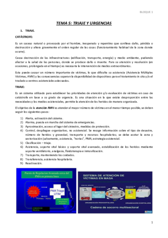 TEMA-5.pdf