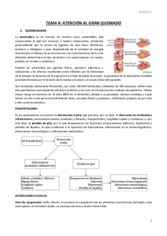TEMA-6.pdf