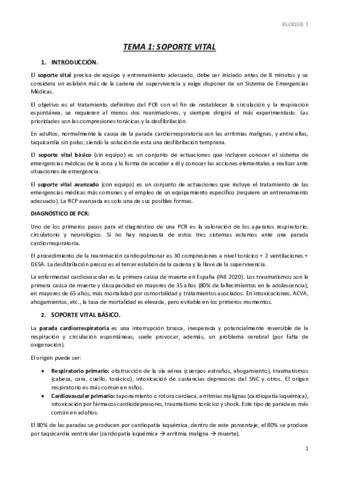 TEMA-1.pdf