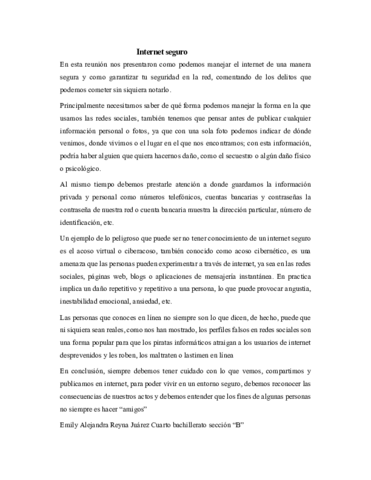 Internet-seguro.pdf