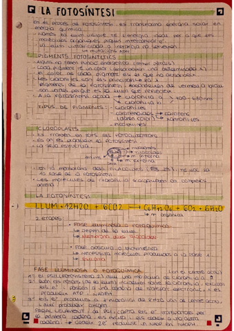 PDF-Scanner-27-01-22-8.pdf