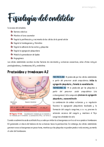 T17-Fisiologia-del-endotelio-LCR-y-BHE-Sistema-linfatico.pdf