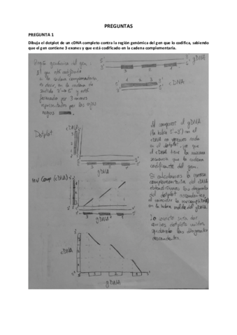 PREGUNTAS-BIOINFORMATICA.pdf