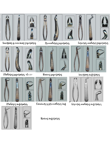 Forceps-para-cada-diente.pdf