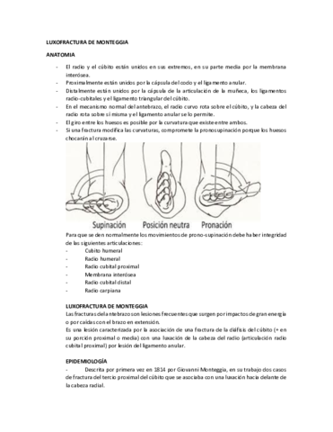 LUXOFRACTURA-DE-MONTEGGIA.pdf