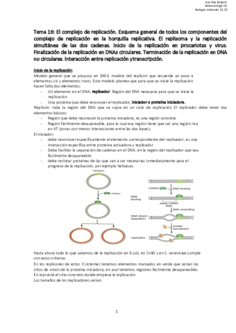 Apuntes-molecular-T16.pdf