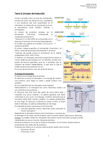Apuntes-molecular-T9.pdf