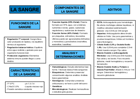 esquema-la-sangre.pdf