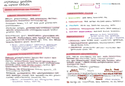 GENEEN-ESTRUKTURA-ETA-FUNTZIOA.pdf
