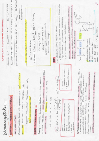 BIOENERGETIKA.pdf