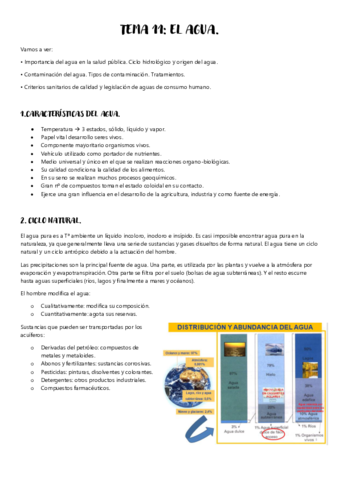 TEMA-11.pdf