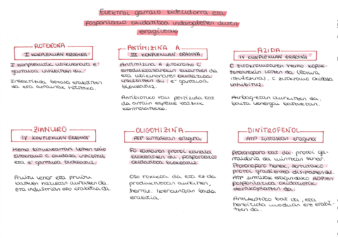 EGB-eta-OF-inhibitzaileak.pdf