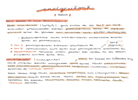 ANALGESIKOAK.pdf