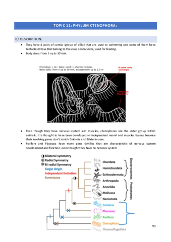 Zoology-Topic-11.pdf