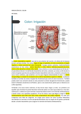 Irrigacion-Del-Colon.pdf