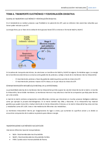 TEMA-6-BSM-TRANSPORTE-ELECTRONICO.pdf