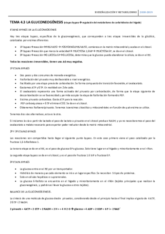 TEMA-4.pdf