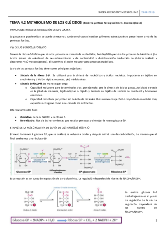 TEMA-4.pdf