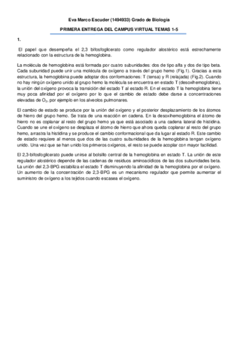 PRIMERA-ENTREGA-CV-BSM-PDF.pdf