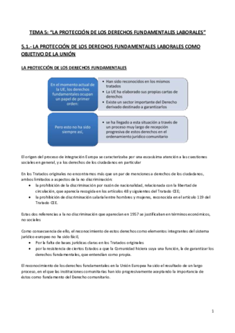 Tema 5. La protección de los derechos fundamentales laborales.pdf